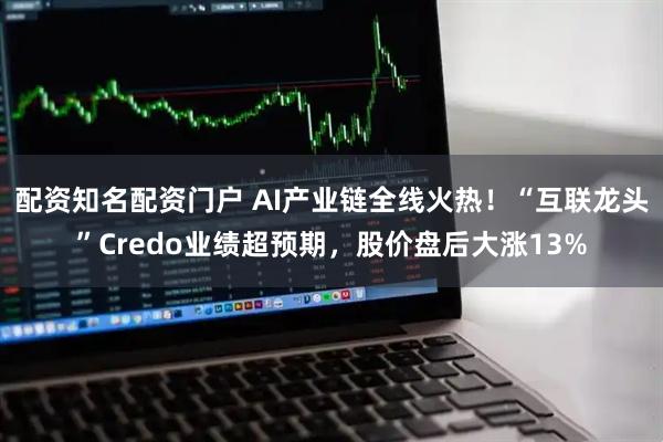 配资知名配资门户 AI产业链全线火热！“互联龙头”Credo业绩超预期，股价盘后大涨13%
