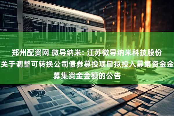 郑州配资网 微导纳米: 江苏微导纳米科技股份有限公司关于调整可转换公司债券募投项目拟投入募集资金金额的公告